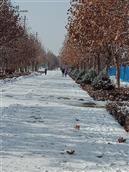 库其村 墩买里小区前面的人行道路的冬天的风景