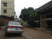 广西,贵港市,桂平市,社步镇,榕罗村