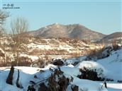 山东省,威海市,文登区,高村镇,莲花城村