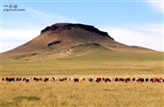 内蒙古,锡林郭勒盟,阿巴嘎旗,那仁宝拉格苏木乡,萨如拉塔拉嘎查村