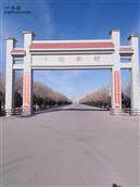 甘肃省,武威市,民勤县,三雷镇,中陶村