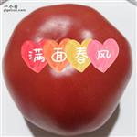 甘肃省,武威市,民勤县,三雷镇,中陶村