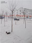 山西省,长治市,沁县,册村镇,上官村