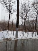 丁沟村 2021年的第一场雪