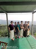 河南省,信阳市,罗山县,楠杆镇,张岗村