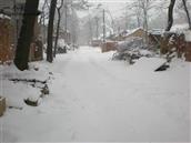 金星村 2008年的第一场雪