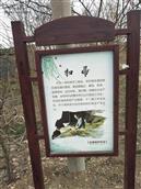 山东省,威海市,文登区,高村镇,莲花城村