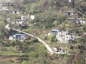 甘肃省,陇南市,康县,迷坝乡,八罗村