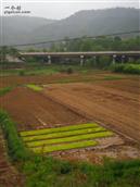 黑水寺村 高速路在葫芦河边穿过黑水寺，给陕北经济发展带来更大的贡献