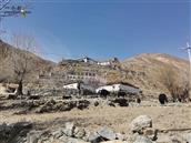 西藏,拉萨市,尼木县,尼木乡,普巴村