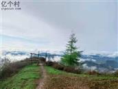 甘肃省,陇南市,礼县,白河镇,竹林村