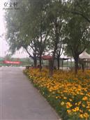 河北省,石家庄市,藁城区,九门乡,前堤里村