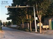 河北省,石家庄市,藁城区,增村镇,大慈邑村