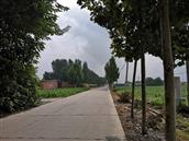 河北省,石家庄市,藁城区,增村镇,大慈邑村