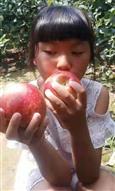 卢庙村 孩子天真无邪，叫她拍个照片，她就想吃苹果哦？今年干旱，苹果好甜🍎 