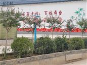 陕西省,咸阳市,武功县,长宁镇,寨大村