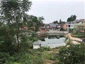 儒林村 