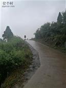 秋泉村 下雨
