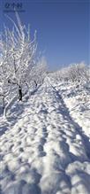 北吴家洼村 2020年的第一场雪
