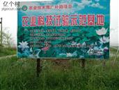 西王庄村 绿色生态文明村