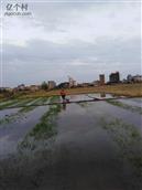 广东省,梅州市,兴宁市,叶塘镇,甘塘村