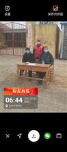 山东省,滨州市,惠民县,石庙镇,西罗村