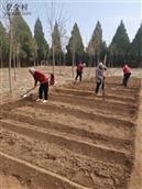 山西省,长治市,沁县,册村镇,上官村