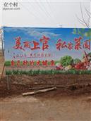 山西省,长治市,沁县,册村镇,上官村