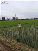 广东省,梅州市,兴宁市,叶塘镇,甘塘村