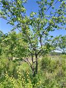 山西省,长治市,沁县,册村镇,上官村