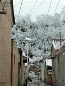 王家铺村 2022年入冬的第一场雪