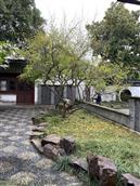 安徽省,安庆市,怀宁县,三桥镇,中联村