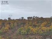 山西省,忻州市,偏关县,窑头乡,光明村