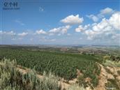 山西省,忻州市,偏关县,窑头乡,光明村