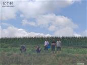 山西省,忻州市,偏关县,窑头乡,光明村