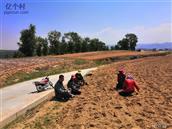 山西省,忻州市,偏关县,窑头乡,光明村