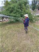 山西省,忻州市,偏关县,窑头乡,光明村