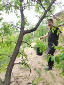 山西省,忻州市,偏关县,窑头乡,光明村