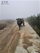 山西省,忻州市,偏关县,窑头乡,光明村