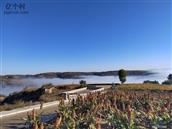 山西省,忻州市,偏关县,窑头乡,光明村