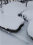 东阳各庄村 下雪了！