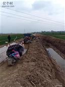 鲍辛庄村 用上新开河水浇灌