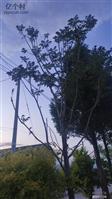 山西省,忻州市,原平市,西镇乡,南申村