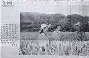 西边村 福建省小桥镇西边村