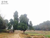 湖南省,永州市,宁远县,太平镇,水便村