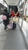 辽宁省,沈阳市,康平县,沙金台乡,太平庄村