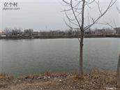 山东省,菏泽市,单县,浮岗镇,韦新庄村