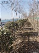 山东省,菏泽市,单县,浮岗镇,韦新庄村