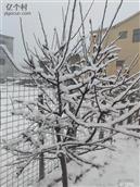 河北省,邯郸市,大名县,束馆镇,刘辛庄村