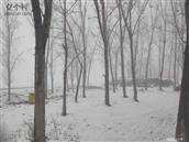 河北省,邯郸市,大名县,束馆镇,刘辛庄村